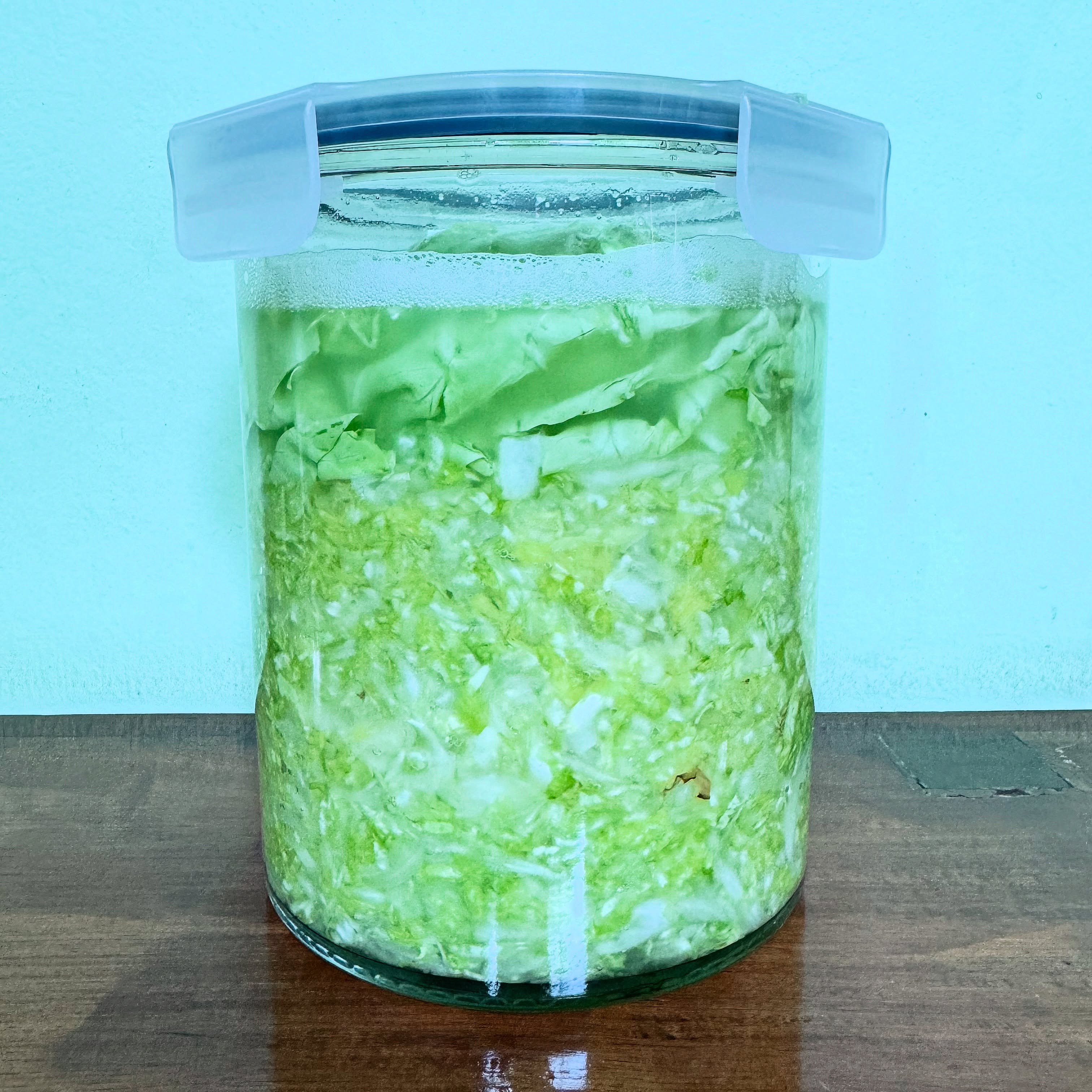 Fermentation at home #theroyalproject #thailand #pointed #cabbage for homemade sauerkraut #photoadayaugust